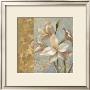 Amaryllis On Soft Blue by Silvia Vassileva Limited Edition Print