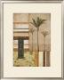 Nikau Palm by Michael Marcon Limited Edition Print