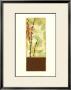 Tranquil Garden Iii by Jennifer Goldberger Limited Edition Pricing Art Print