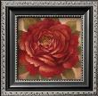 Sacred Rose Ii by Richard Lane Limited Edition Pricing Art Print