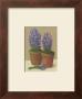 Purple Flowers In Pots by David Col Limited Edition Pricing Art Print