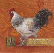 Venezia Rooster by Angela Staehling Limited Edition Pricing Art Print