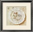 Assiette, Tripolium Pratence by Pascal Cessou Limited Edition Print