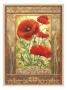 Ornamental Poppies I by Janet Stever Limited Edition Print