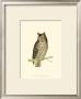 Mottled Owl by Reverend Francis O. Morris Limited Edition Pricing Art Print