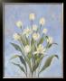 I Fiori Ii by Telander Limited Edition Pricing Art Print