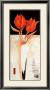 Fire Flower Ii by Alfred Gockel Limited Edition Pricing Art Print