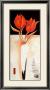 Fire Flower Ii by Alfred Gockel Limited Edition Print