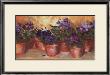 Violets For Rebecca by Carol Rowan Limited Edition Print