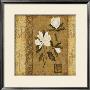 Magnolia Stripe Ii by Gene Ouimette Limited Edition Print