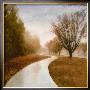 Autumn Path by Sally Wetherby Limited Edition Print