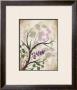 Lavender And Sage Florish by Jennifer Pugh Limited Edition Print