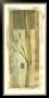 Antiqued Bamboo Ii by Jennifer Goldberger Limited Edition Print
