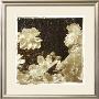 Sepia Peonies Iii by Chariklia Zarris Limited Edition Pricing Art Print