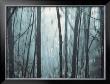 Spring Mist I by Marvin Pelkey Limited Edition Print