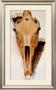 Mule Skull And Feathers by Georgia O'keeffe Limited Edition Print