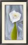 Calla Lilly On Grey by Georgia O'keeffe Limited Edition Pricing Art Print