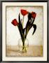 3 Red Tulips I by Tania Darashkevich Limited Edition Pricing Art Print