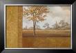 Golden Autumn I by Jordan Gray Limited Edition Print