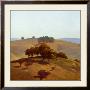 Hills Near Chico by Marc Bohne Limited Edition Print