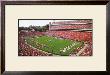 Georgia Football by Brady Lambert Limited Edition Print