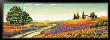 Morning In The Valley by Richard Leblanc Limited Edition Print