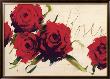 Roses by Antonio Massa Limited Edition Pricing Art Print