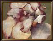 White Begonia by Maria Torróntegui Limited Edition Pricing Art Print