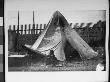 An Indian Child Sitting Outside A Teepee On The Grounds Of Buffalo Bill's Wild West Show by Wallace G. Levison Limited Edition Print