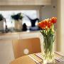 Orange Tulips In A Vase On A Table by Mikael Bertmar Limited Edition Print