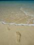 Footprints On A Beach by Gunter Lenz Limited Edition Print