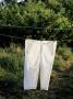 White Trousers On A Clothes Line by Johanna Ekmark Limited Edition Pricing Art Print
