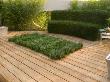 Hampton Court Flower Show 2006: Designer - Philip Osman - Decking With Thyme Rug And Camomile Seat by Clive Nichols Limited Edition Print