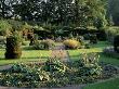 View Down The Garden With Unusual Hedging And Hostas Designers: Piet And Anja Oudolf by Clive Nichols Limited Edition Print