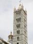 Campanile, Duomo, Siena, Tuscany, Italy by David Clapp Limited Edition Print