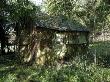 An Old Cottage In The Woods, England by Mark Bury Limited Edition Print