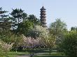 View Of Pagoda, Kew Gardens, Kew, London by Natalie Tepper Limited Edition Print
