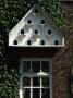 Backgrounds - Triangular Dovecote Above Window On Ivy-Covered Wall by Natalie Tepper Limited Edition Print