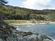 Tierra Del Fuego National Park, Ushuaia, Argentina by Natalie Tepper Limited Edition Print