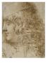 Tete De Jeune Homme, Salaino by Leonard De Vinci Limited Edition Pricing Art Print
