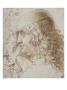 Profil De Jeune Homme Aux Cheveux Longs, Et Autres Ã‰Tudes De Tãªtes by Lã©Onard De Vinci Limited Edition Print