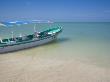 Boats For Hire, Celestun, Gulf Of Mexico, Mexico by Julie Eggers Limited Edition Print
