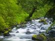 Sol Duc River, Oylmpic National Park, Washington, Usa by Terry Eggers Limited Edition Pricing Art Print