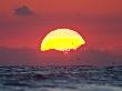 Sunrise On The Gulf Of Mexico, South Padre Island, Texas, Usa by Larry Ditto Limited Edition Print