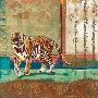 Serengeti Tiger by Fischer & Warnica Limited Edition Print