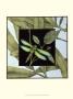 Dragonfly Inset V by Jennifer Goldberger Limited Edition Print