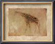 Giraffe Impression Ii by Patrick Lowry Limited Edition Print