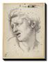 Album Expression Of The Passions: Pain Of The Mind by Charles Le Brun Limited Edition Print