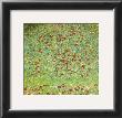 The Apple Tree by Gustav Klimt Limited Edition Print