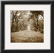 Central Park by Sondra Wampler Limited Edition Print